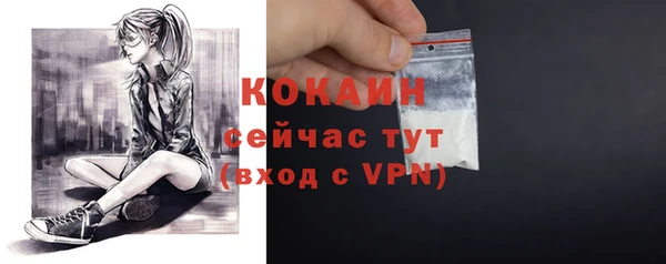 ешки Лагань