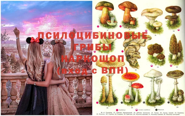 ГАЛЛЮЦИНОГЕННЫЕ ГРИБЫ Красноперекопск