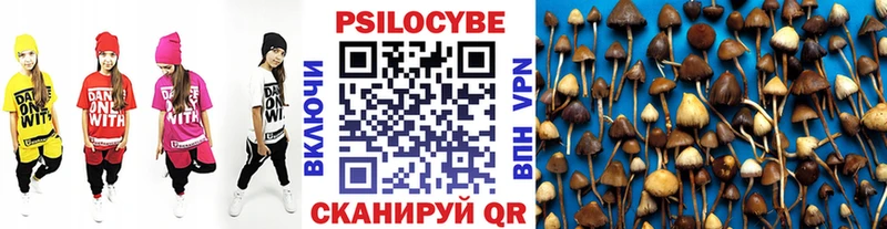 Галлюциногенные грибы GOLDEN TEACHER  Судогда 